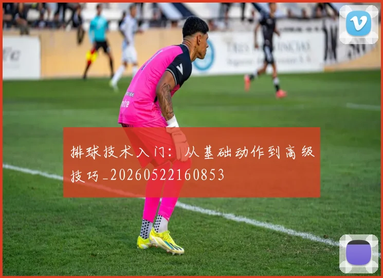 排球技术入门：从基础动作到高级技巧_20260522160853