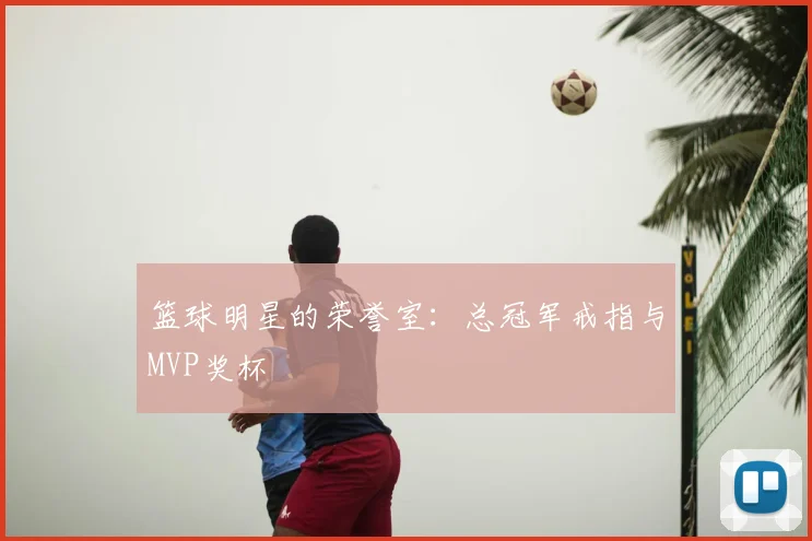 篮球明星的荣誉室：总冠军戒指与MVP奖杯