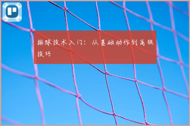 排球技术入门：从基础动作到高级技巧