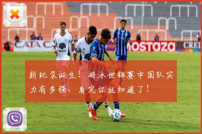 新纪录诞生！游泳世锦赛中国队实力有多强，看完你就知道了！