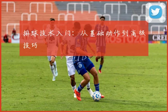 排球技术入门：从基础动作到高级技巧