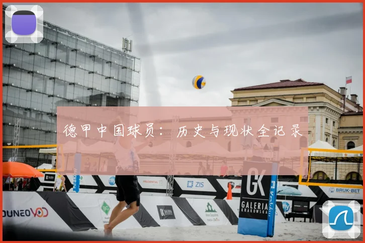 德甲中国球员：历史与现状全记录