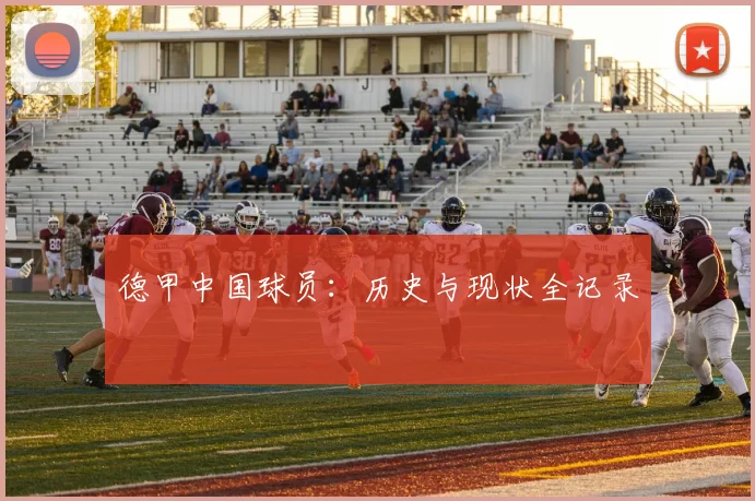 德甲中国球员：历史与现状全记录